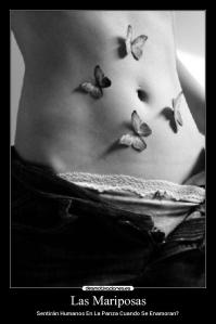mariposas_2